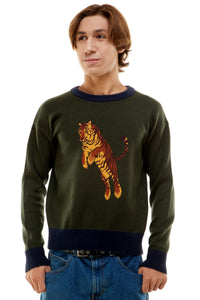 Liam Crew in Sho-Me the Tiger