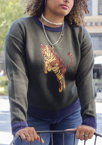 Liam Crew in Sho-Me the Tiger